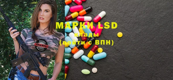 индика Касимов