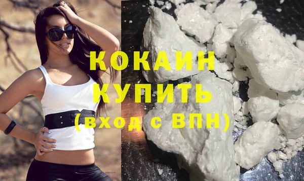 индика Касимов